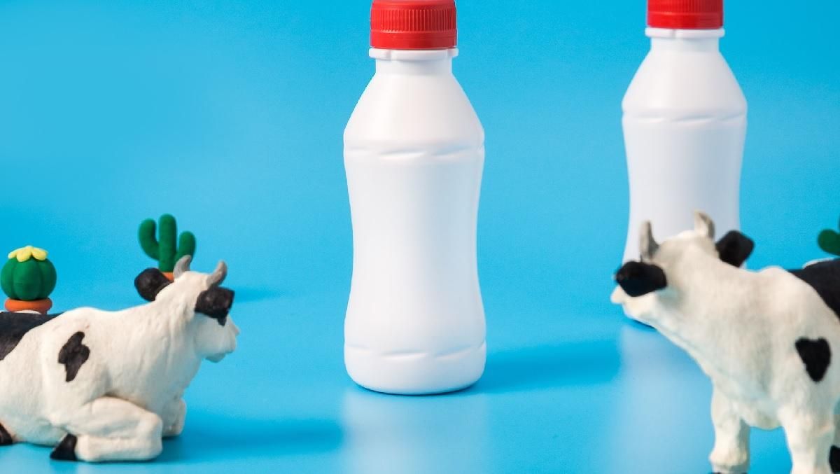 Стоит ли отказываться: польза и вред молочных продуктов - Здорово