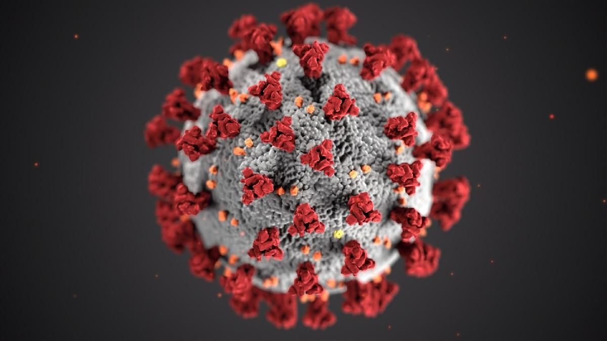 Как защитить человечество от пандемии: 5 шагов от ученых - Здорово