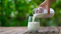 В чем польза натурального молока: 5 несомненных аргументов